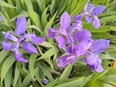 -汉长安城未央宫国家考古遗址公园