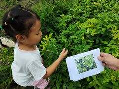 -中国天府农业博览园