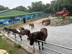 -西安秦岭野生动物园