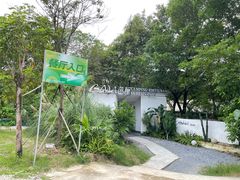 -芭厘农庄老字号·清远鸡