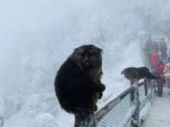 -峨眉山风景名胜区