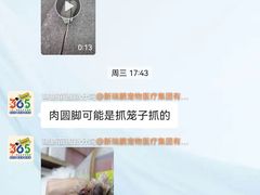 -瑞鹏宠物医院·内科·中兽医·骨科(苗圃店)