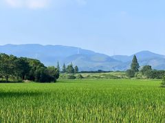 -良渚古城遗址公园