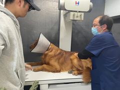 -皖宠联盟宠爱优家宠物医院(中兴西湖店)