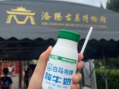 -洛阳古墓博物馆