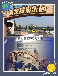 -恐龙探索乐园(磁器口店)