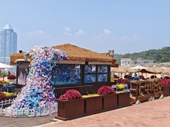 -青岛第二海水浴场