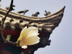 -西安市广仁寺