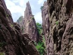 -黄山风景区