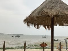 -北海金海湾红树林生态旅游区