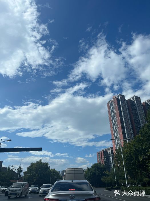 石葵(锦业时代店)图片
