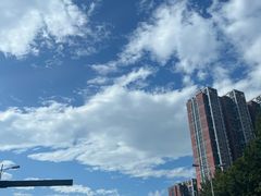 -石葵(锦业时代店)