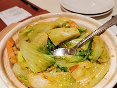 虾酱啫啫唐生菜-利苑酒家(华熙国际店)