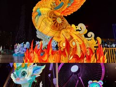 -海合安武汉极地海洋公园