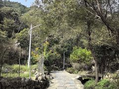 -大岭沟猕猴桃谷风景区