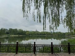 -北坞公园