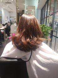 中发-东方麒麟·潘多拉SALON