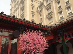 -厉家菜(金宝街店)