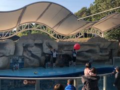 -泉州海丝野生动物世界