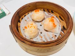 -食膳星港记·手工现做港式茶餐厅(吉联店)