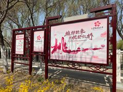 -桃花堤公园