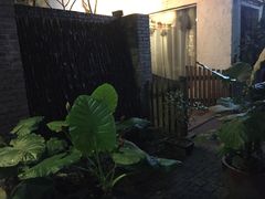 -天水蔬食料理(树德之光店)