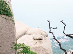 -崂山仰口游览区