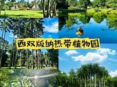 -曼听御花园