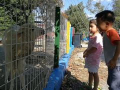 -武汉紫薇都市田园