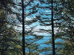 -灵山