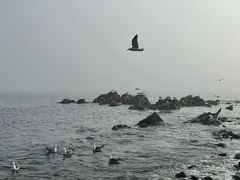 -银沙滩浴场