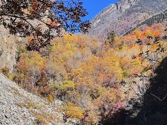 -叠溪松坪沟景区