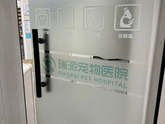 -东莞宠友24H宠物中心医院·转诊夜诊·异宠(新河北路院)