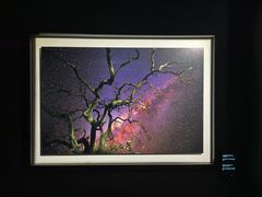 -罗红摄影艺术馆