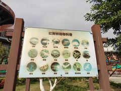 -芒洲湿地公园