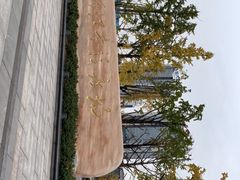 -百林公园-两江幸福广场