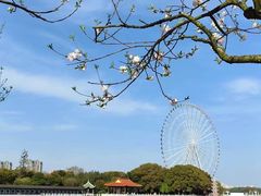 -无锡蠡湖国家湿地公园-蠡园