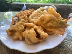 -晓雯人家