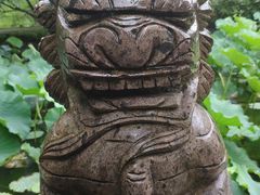 -上海醉白池公园