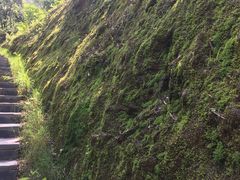 -梅岭月亮湾山体公园