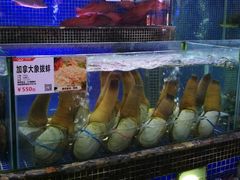 水产区-欢乐海岸美食联盟