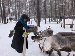 -北极村旅游风景区