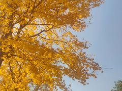 -浙江大学(紫金港校区)