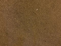 -老广烧烤(骆驼山康馨园店)