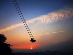 游乐设施-梦幻奥陶纪景区