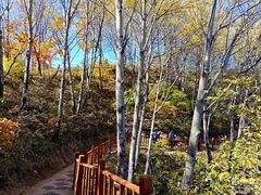 -玉渡山自然风景区