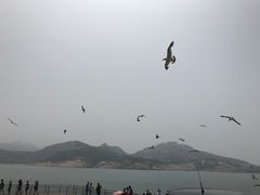 -海驴岛(荣成市)