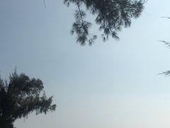 -玫瑰海岸文化旅游度假区