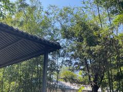 -罗浮山·罗园农庄