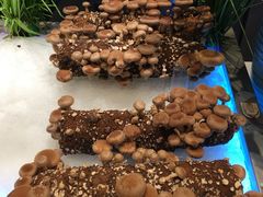 -V-ONE西雅图海鲜自助餐厅(仓山万达广场店)